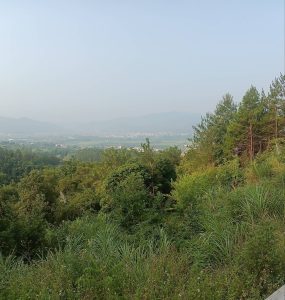 61e0fc5bd6e3575720225c97ccd15429