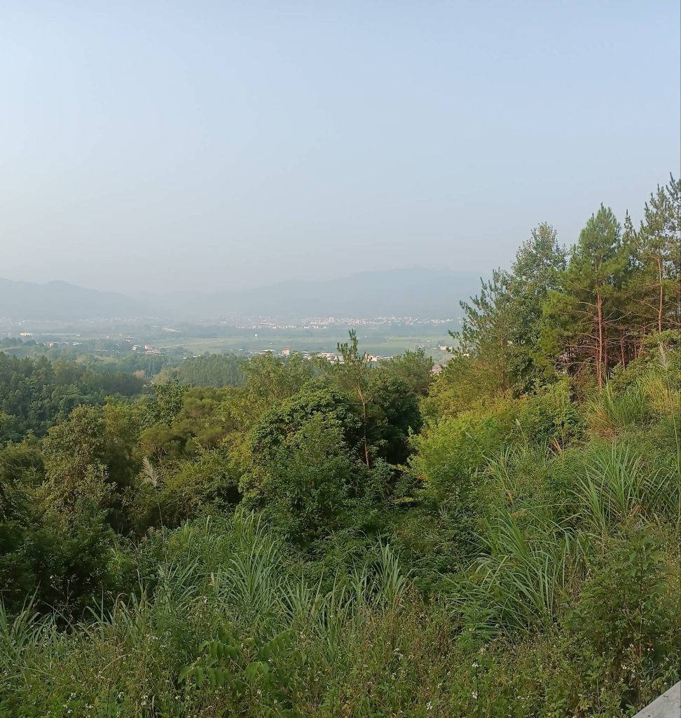 61e0fc5bd6e3575720225c97ccd15429